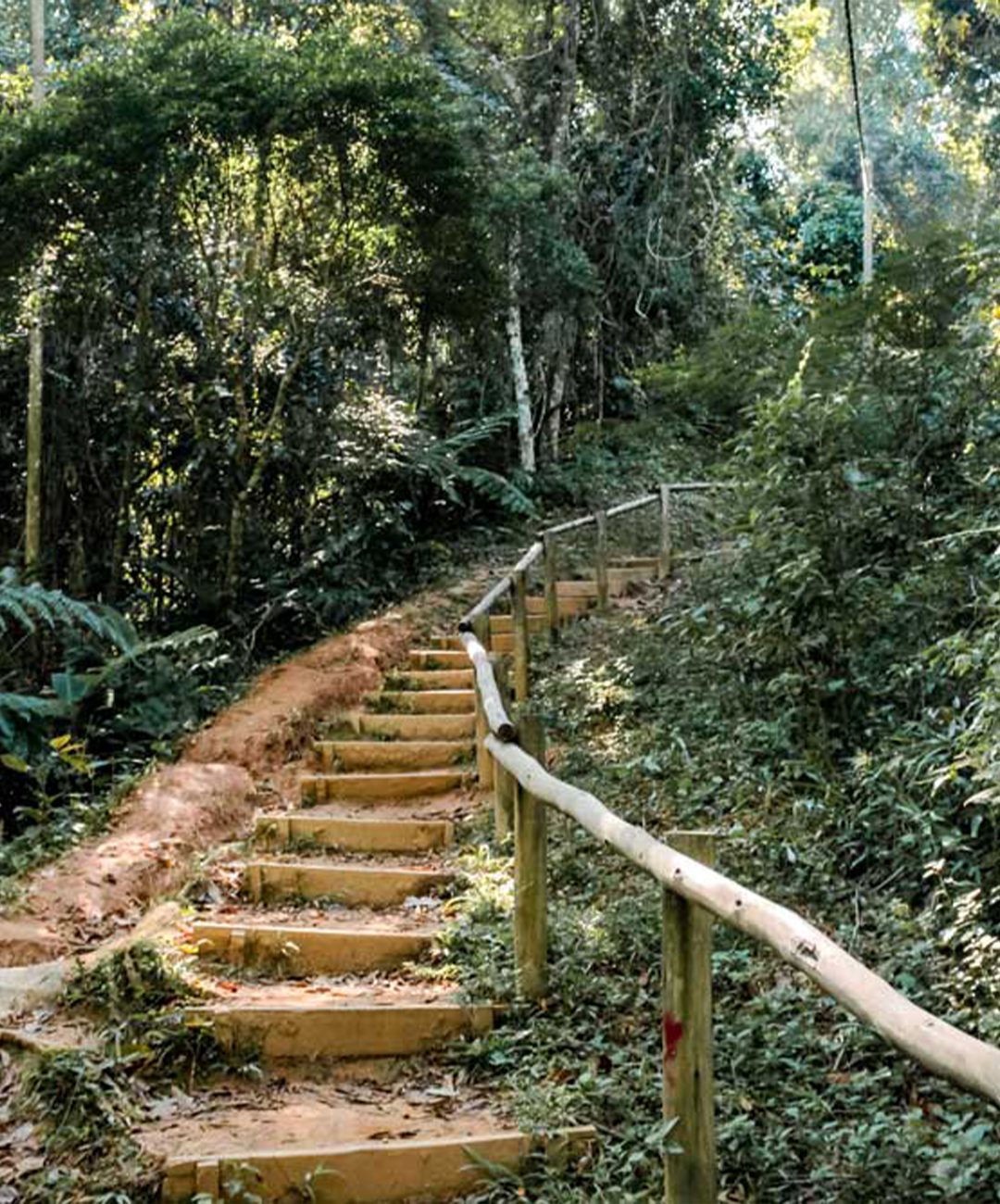 Praia do Sono, Paraty